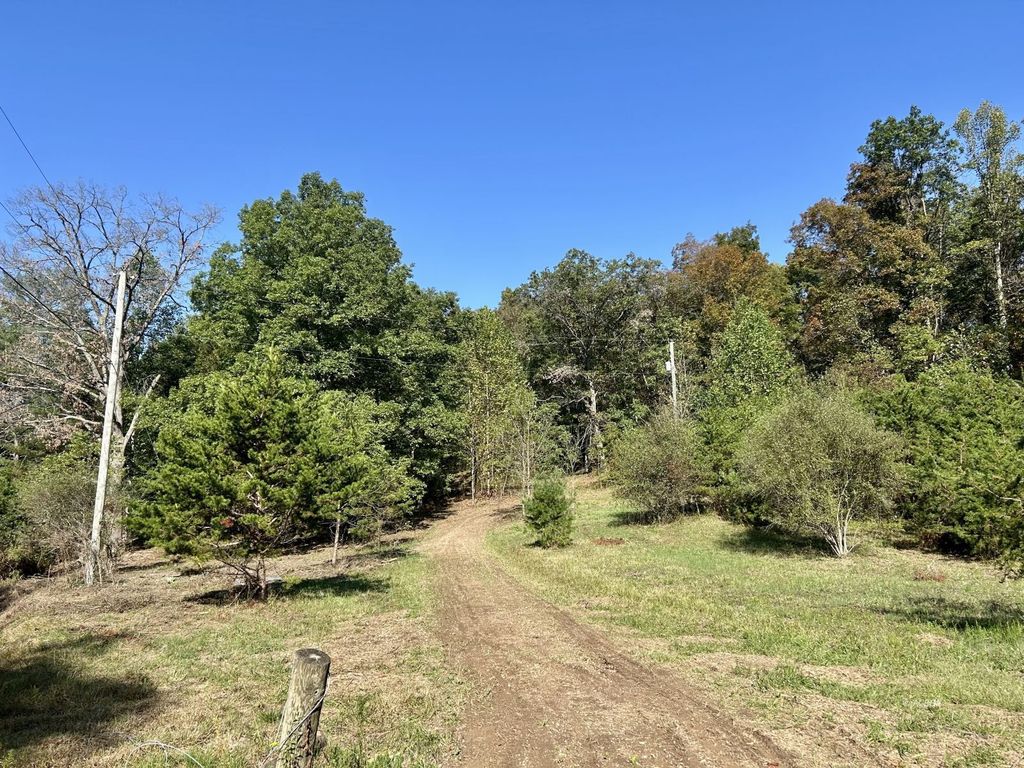 Real estate listing image
