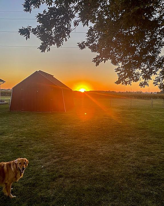 Beautiful sunsets!  