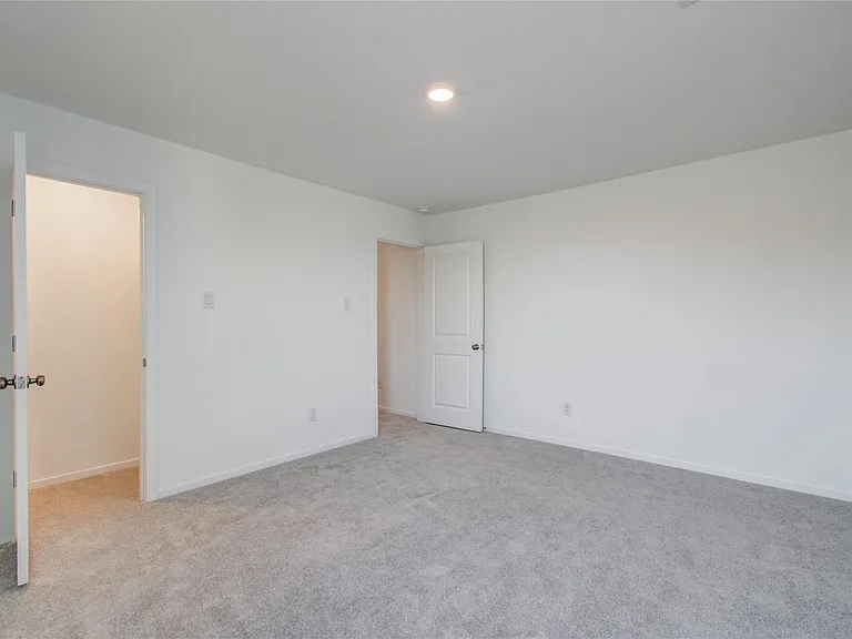 26514 Foxtail Fern Dr — Photo 42
