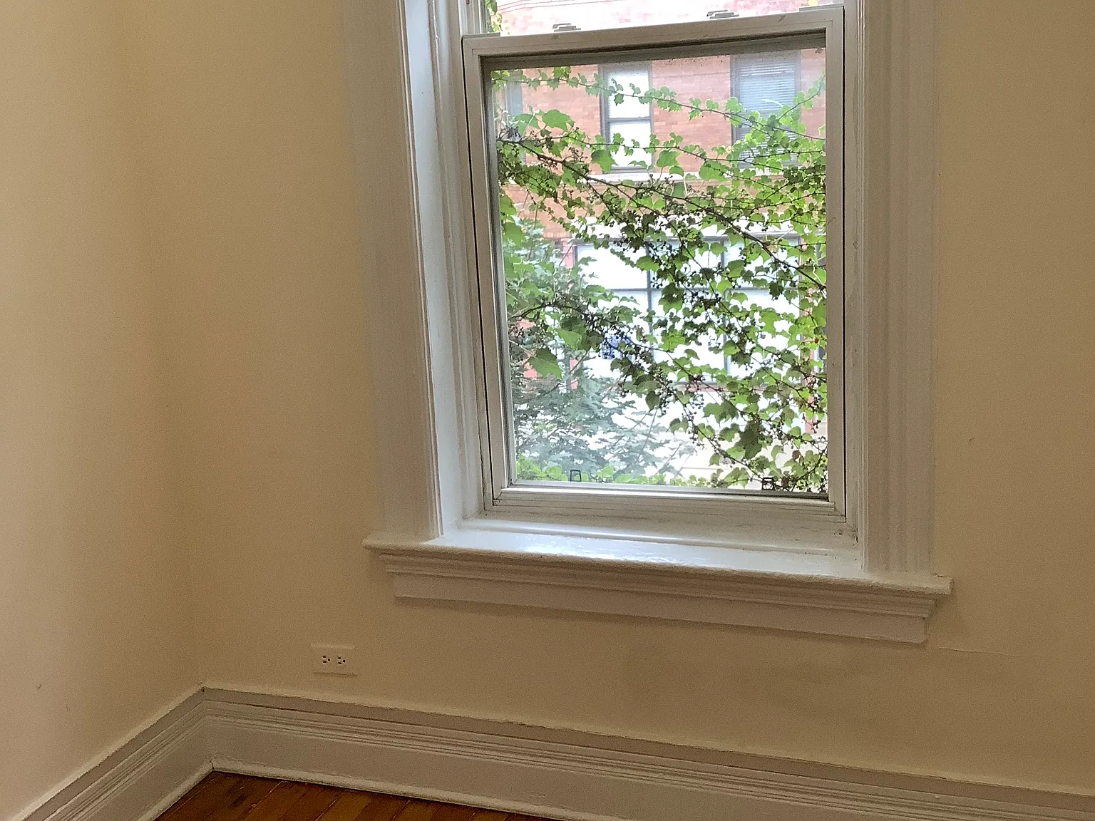 2 bed, 750 sqft, $1,900 — Photo 2