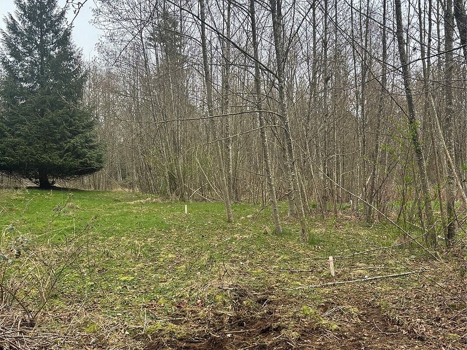 2nd image of 96 xx Kettle Way