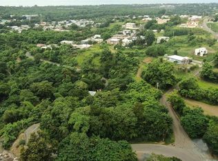 Calle Camino Al Cielo Lot Prairie Bo Calvache #411, Rincon, PR 00677