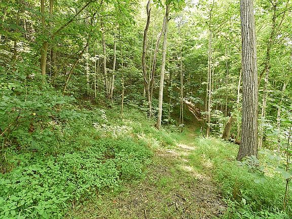 2nd image of 182 Sunfish Creek Rd Tract 1
