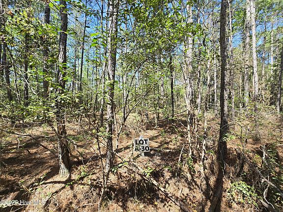 2nd image of LOT-30A Renee Dr