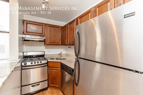 957 W Armitage Ave #3B Photo 1