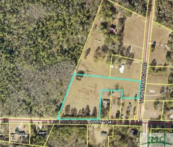 0 Highway 204/toni Branch Rd, Ellabell, GA, 31308