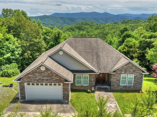 1207 Bullen Gap Rd, Blue Ridge, GA 30513