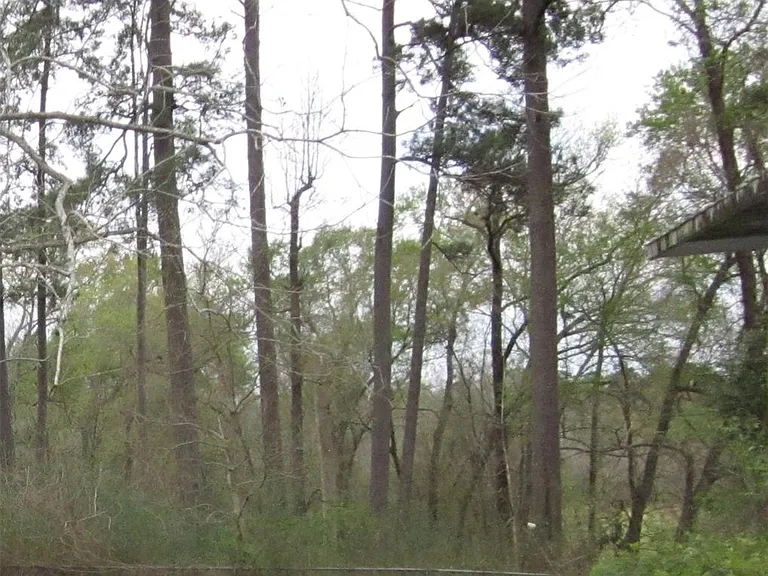 4018 E Mossy Oaks Rd — Photo 10