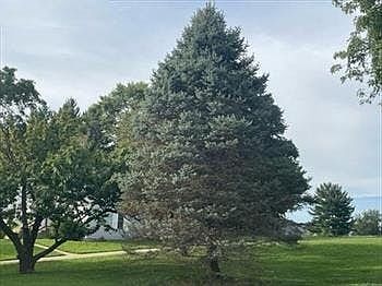1st image of 1227 Teson Rd