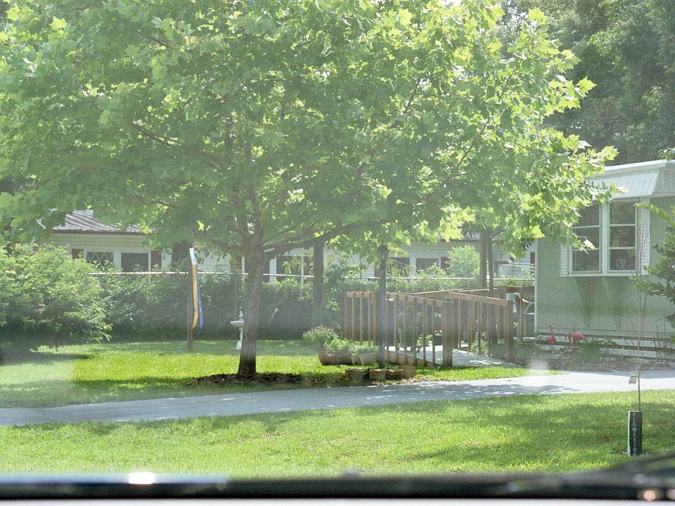 Shady lawn