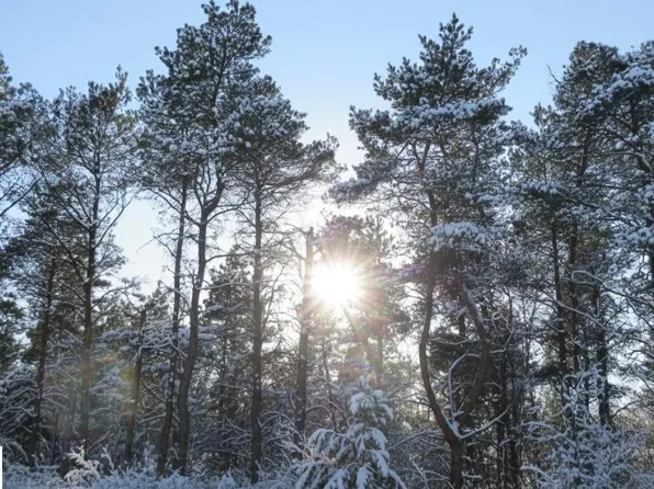 PARCEL F 3rd Rd N #2-1/2, Buckley, MI 49620