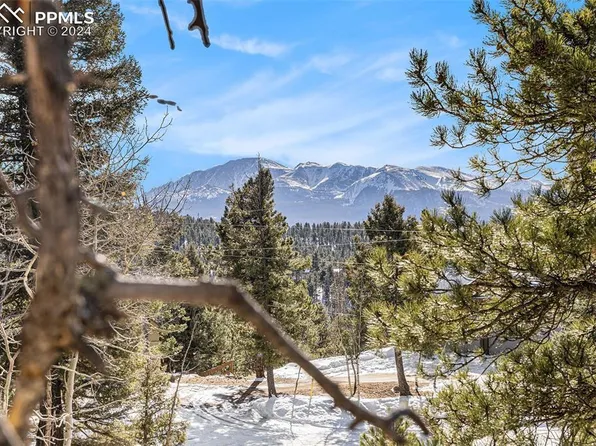188 Pike View Dr, Divide, CO 80814