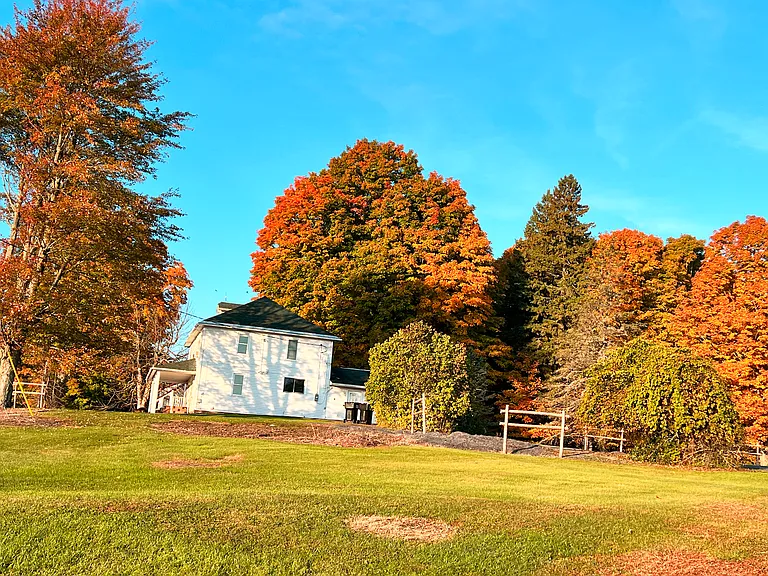 745 Bagdad Rd #FARM1 — Photo 3