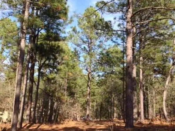 110 Otter Dr Lot 4145, West End, NC 27376