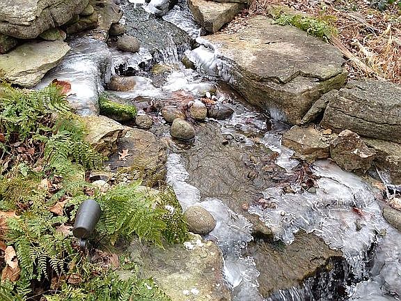 Part of backyard stream