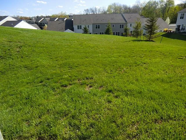 Open backyard