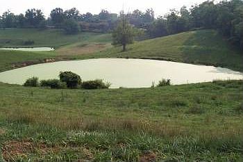 2nd image of 3153 Sulphur Well Center Rd
