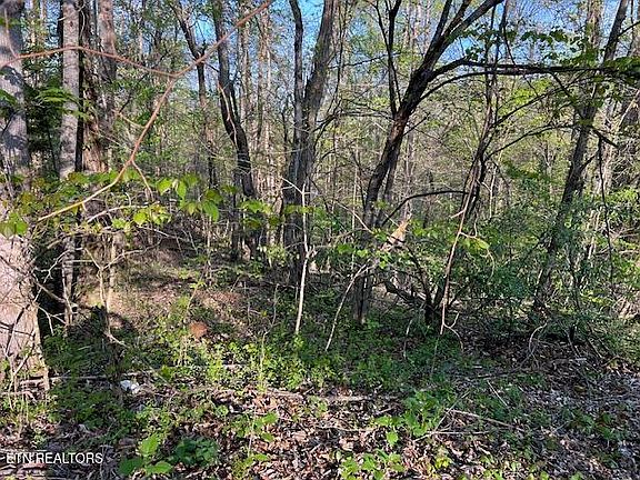 4th image of Pine Hollow Rd
