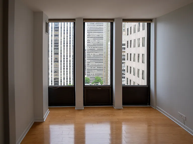 100 E Walton St #22A — Photo 15