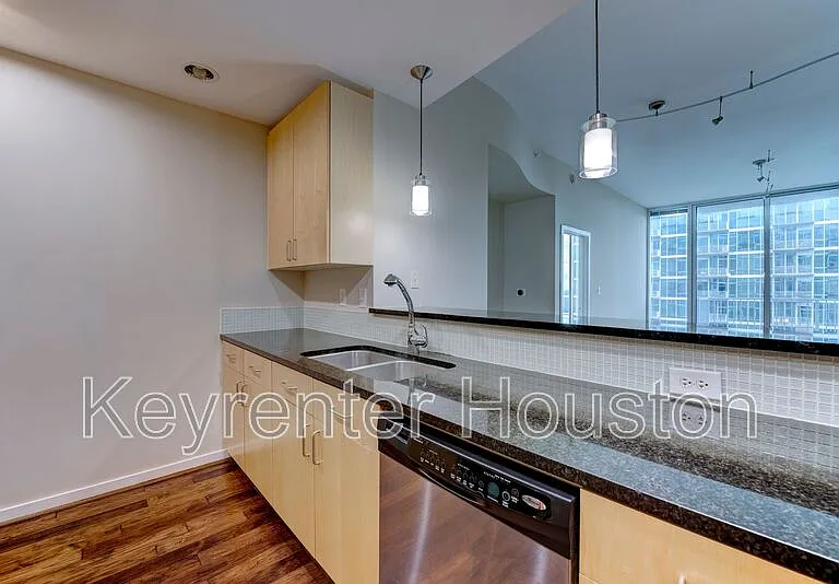 5925 Almeda Rd #2214 — Photo 6