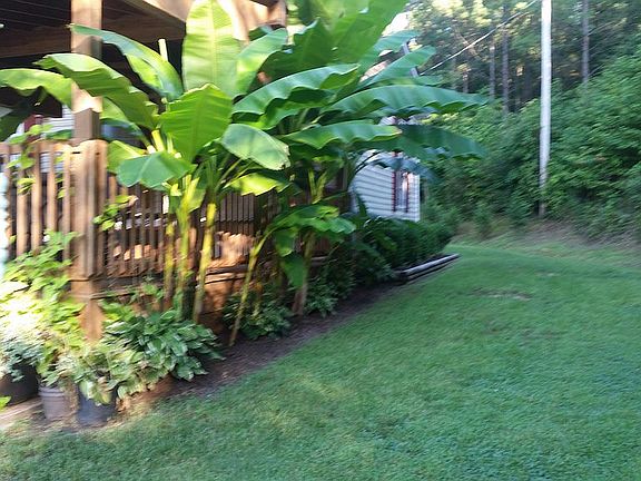 side yard leading to back