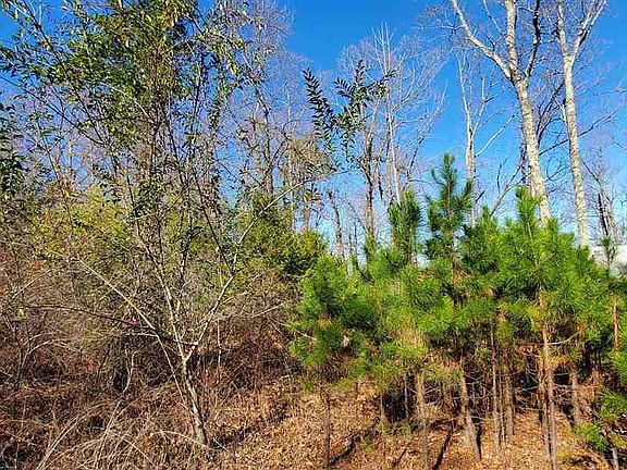 4th image of 199 Hickory Hl