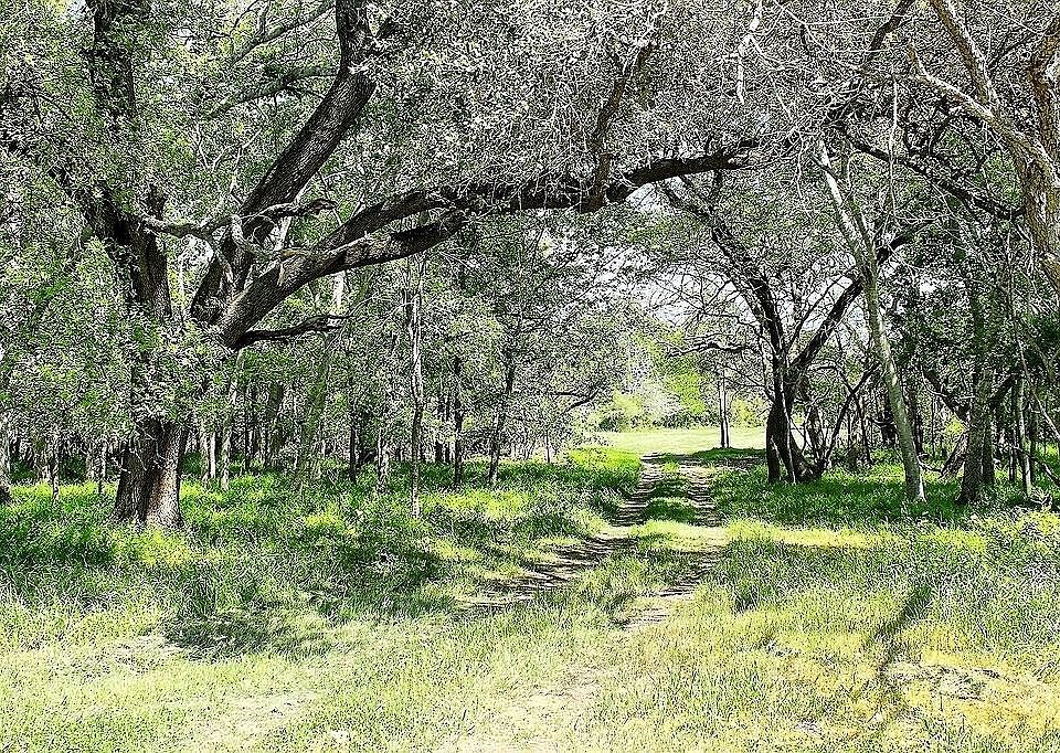 1st image of Scott Rd