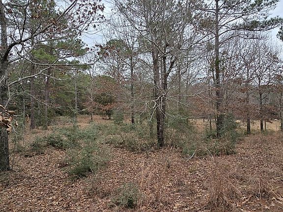 5th image of Pidn 51641 County Rd #222