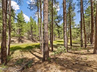 3456 LAURIE Lane #9, Flagstaff, AZ 86005