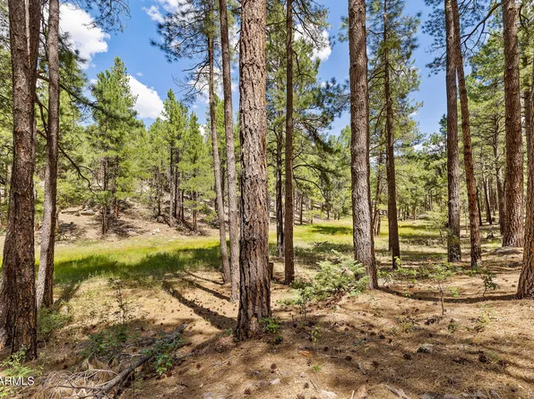 3456 LAURIE Lane #9, Flagstaff, AZ 86005