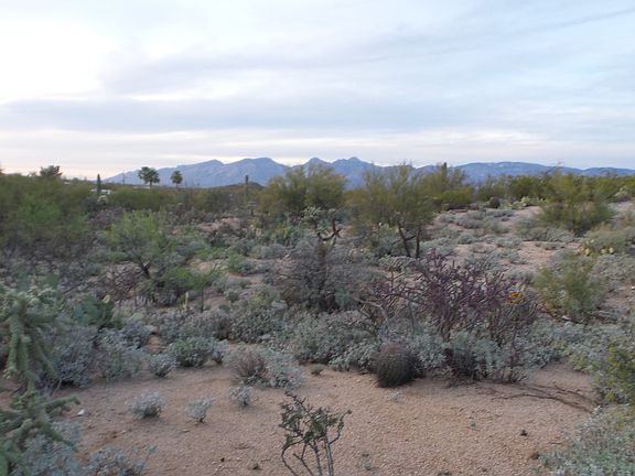 2nd image of 11810 E Calle Javelina