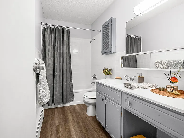 Williamsburg and Portage Pointe Apartments — Photo 8