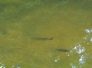 26 Jack Alexander Rd, Poplarville, MS 39470