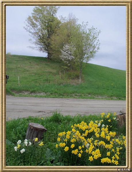 4th image of 2852 GREEN HILL Road