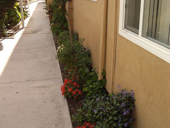 3rd image of 9324 Elm Vista Dr APT 4