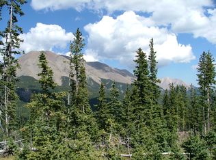 Tbd Timber Ridge Trail, Stonewall, CO 81091