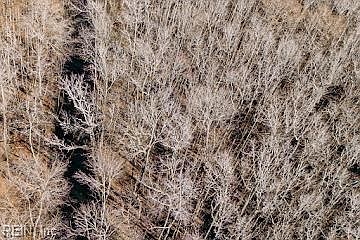 4th image of 1320 Northside Rd