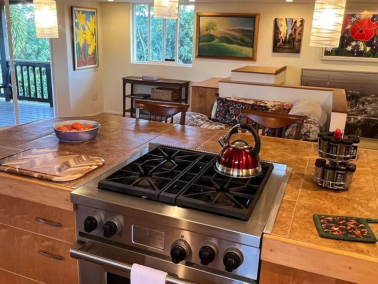 Gas stove top and convection oven