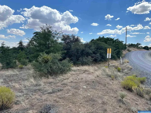 Xx Cattlemens Trl, Silver City, NM 88061