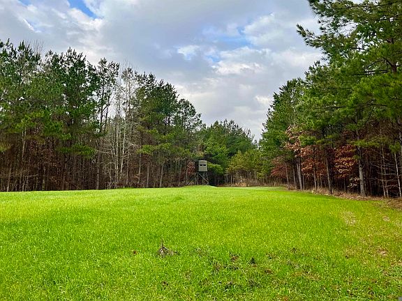 4th image of 10078 Old Port Gibson Rd