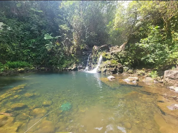 32-2471 Stone Rd, Papaaloa, HI 96780