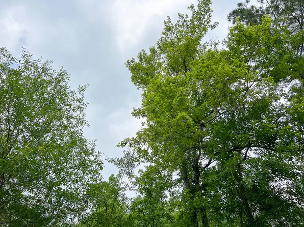 Cravens Camp Rd, Silsbee, TX 77656