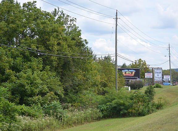 4th image of 7811 E Lamar Alexander Pkwy