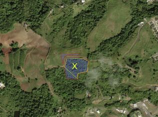 State Highway 152r Km .2 Int Bo Helechal Parcela #1, Barranquitas, PR 00794