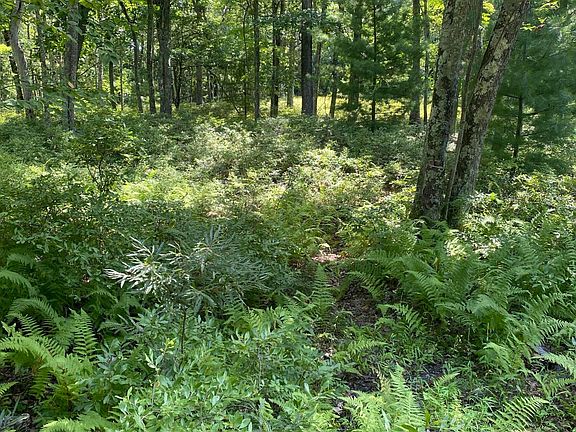 3rd image of LOT-38B Woodlyn Acres Rd
