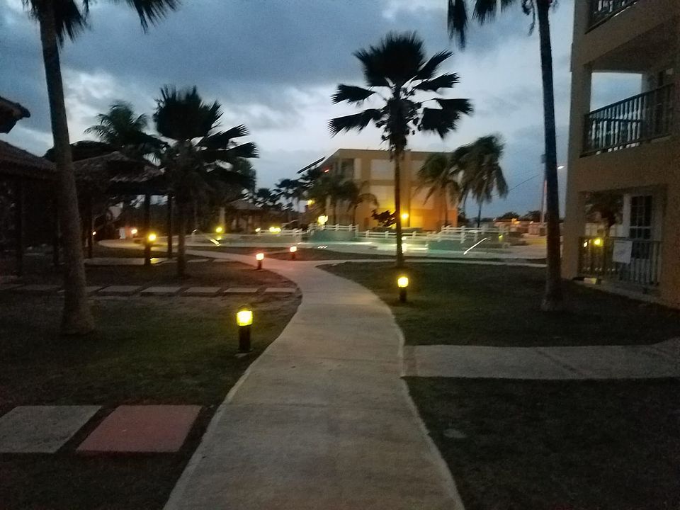 Night View