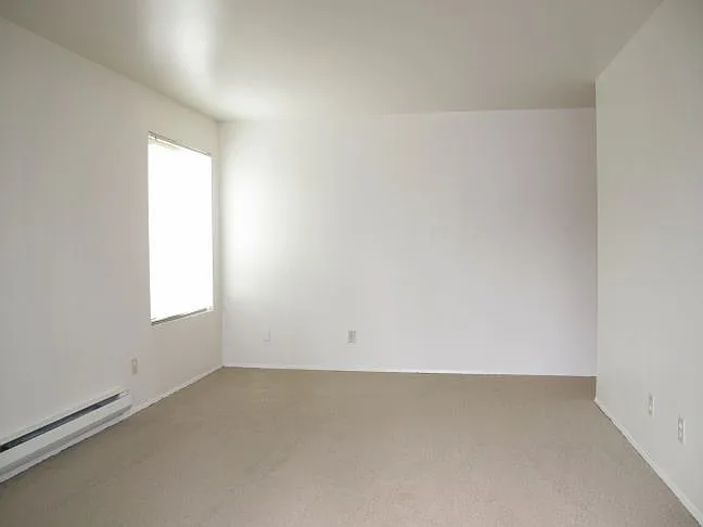 Birchwood Apartments — Photo 19