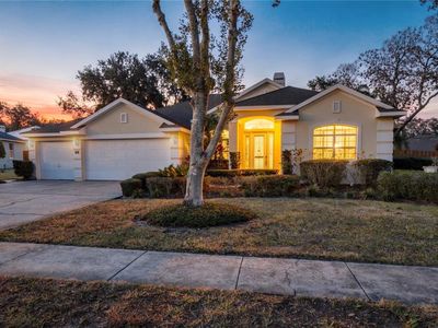 1333 Branch Hill Ct, Apopka, FL, 32712