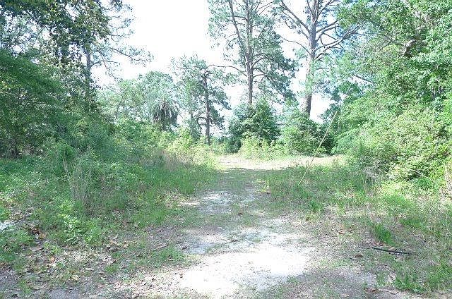 2nd image of 4102 Driskell Rd