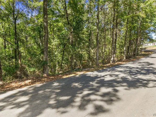 0 Mountain View Ln, Vance, AL 35490